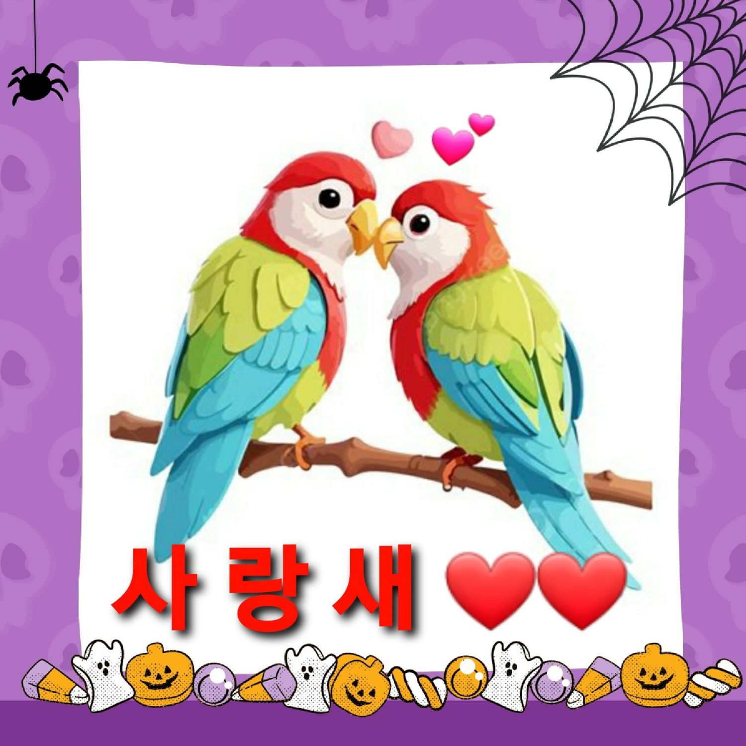 Recent activity shot of Jin Haesung