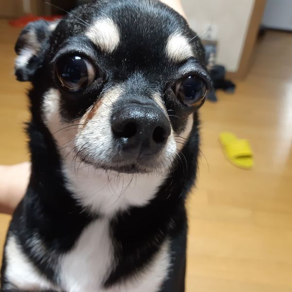 Today’s standout profile photo of Baek Jongwon on Choeaedol Celeb