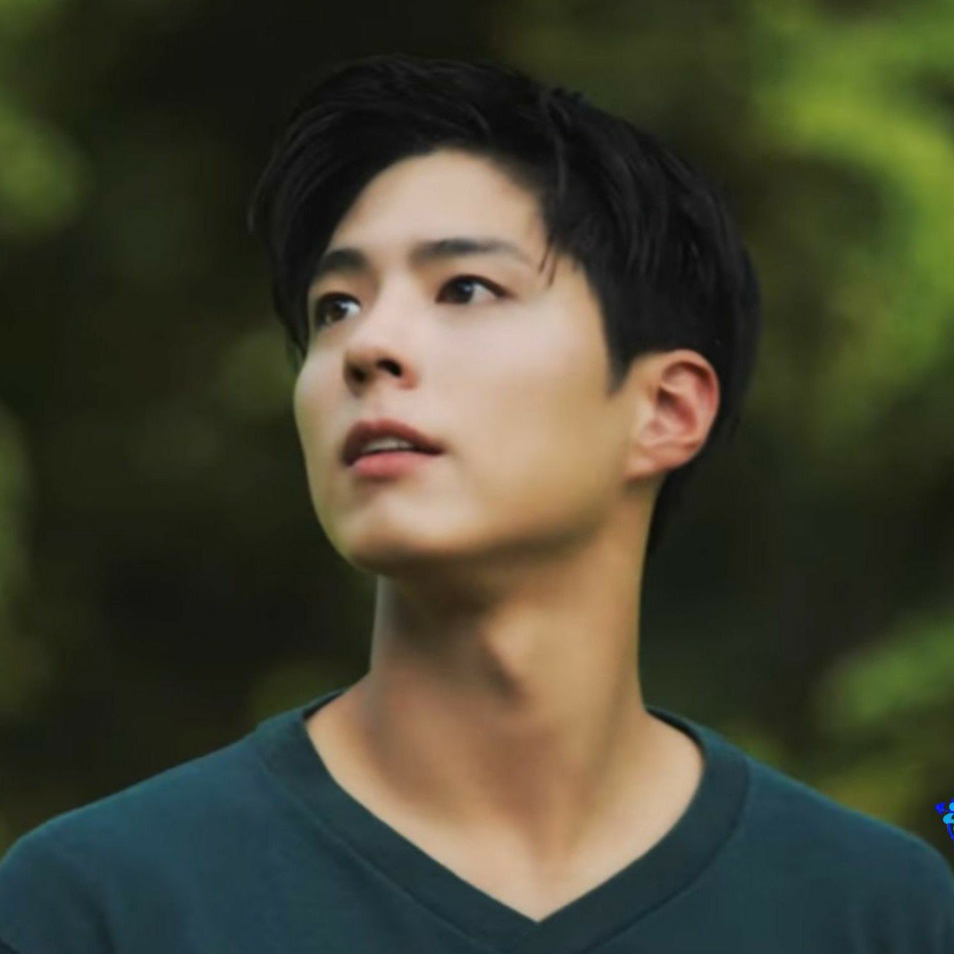 ファンが撮影したパク・ボゴムの瞬間