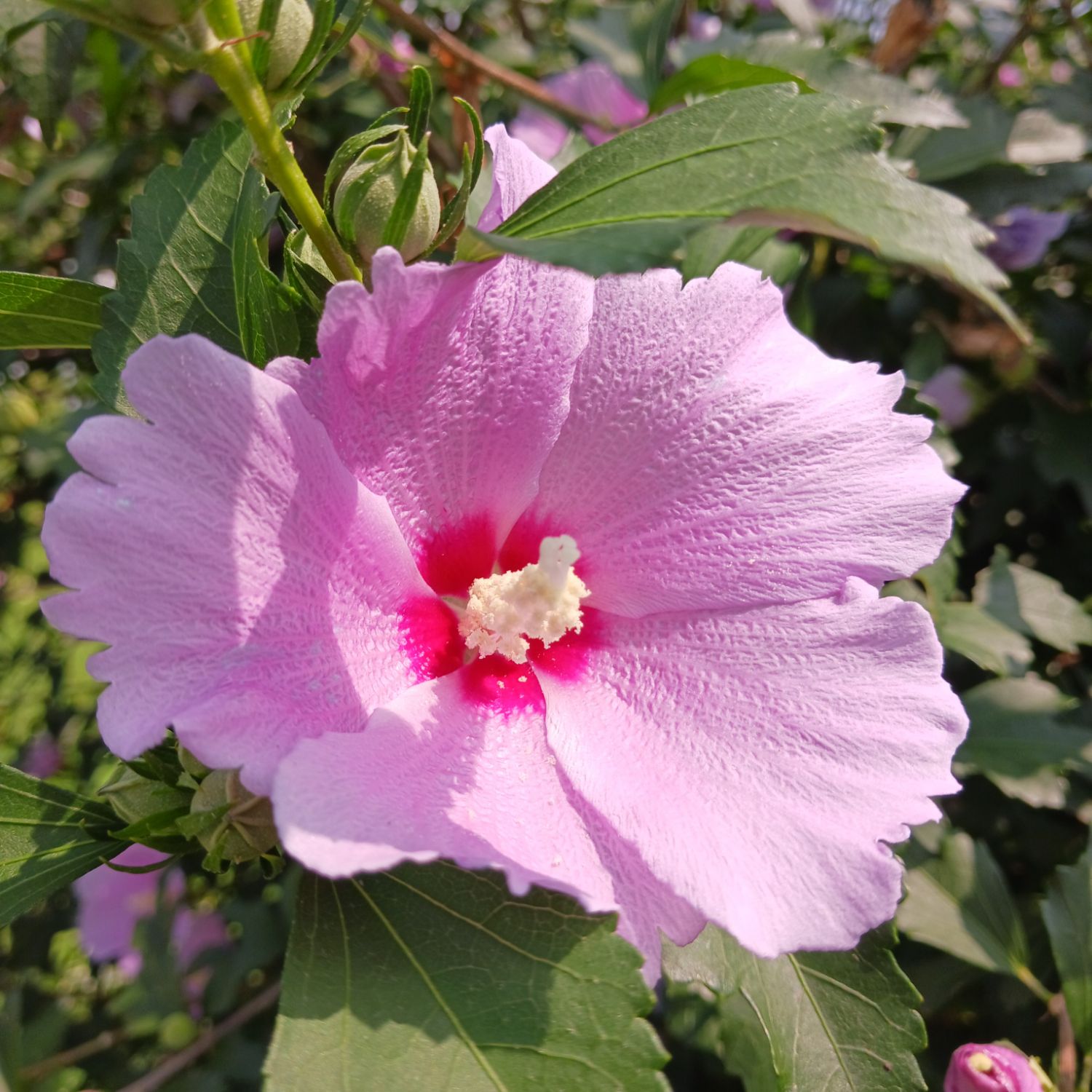 金浩中的幕後花絮