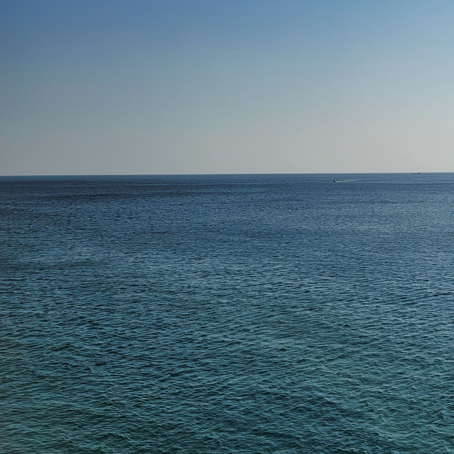 진해성의 최신 사진