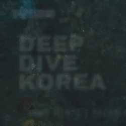 community_articles_contents