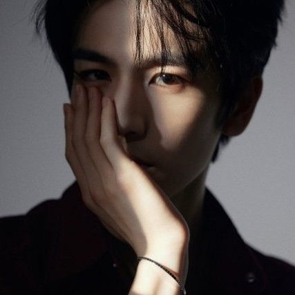 Recent activity shot of Zhang Linghe