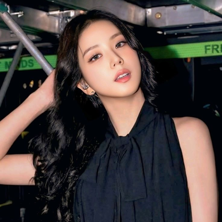 A moment captured by a fan of Jisoo (1995)