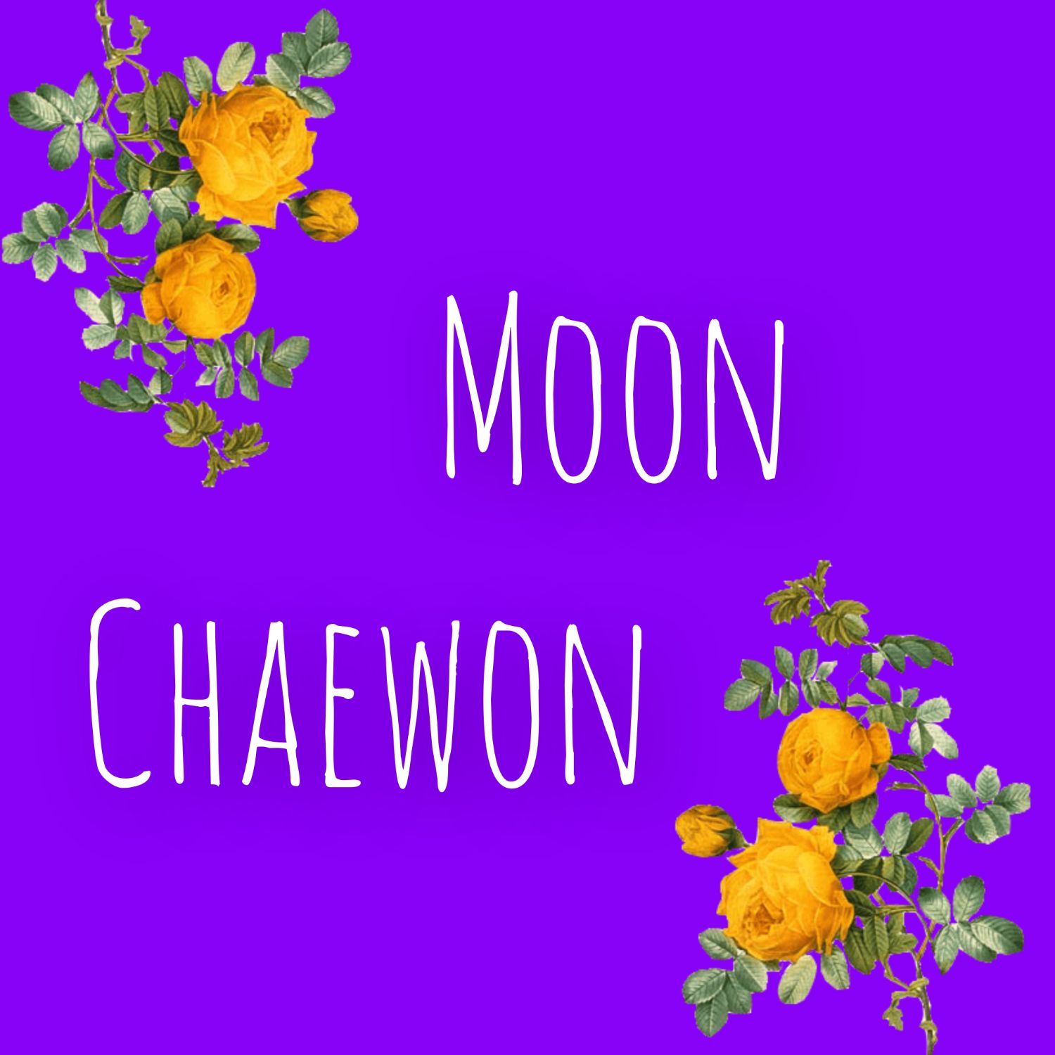 Latest photo of Moon Chaewon