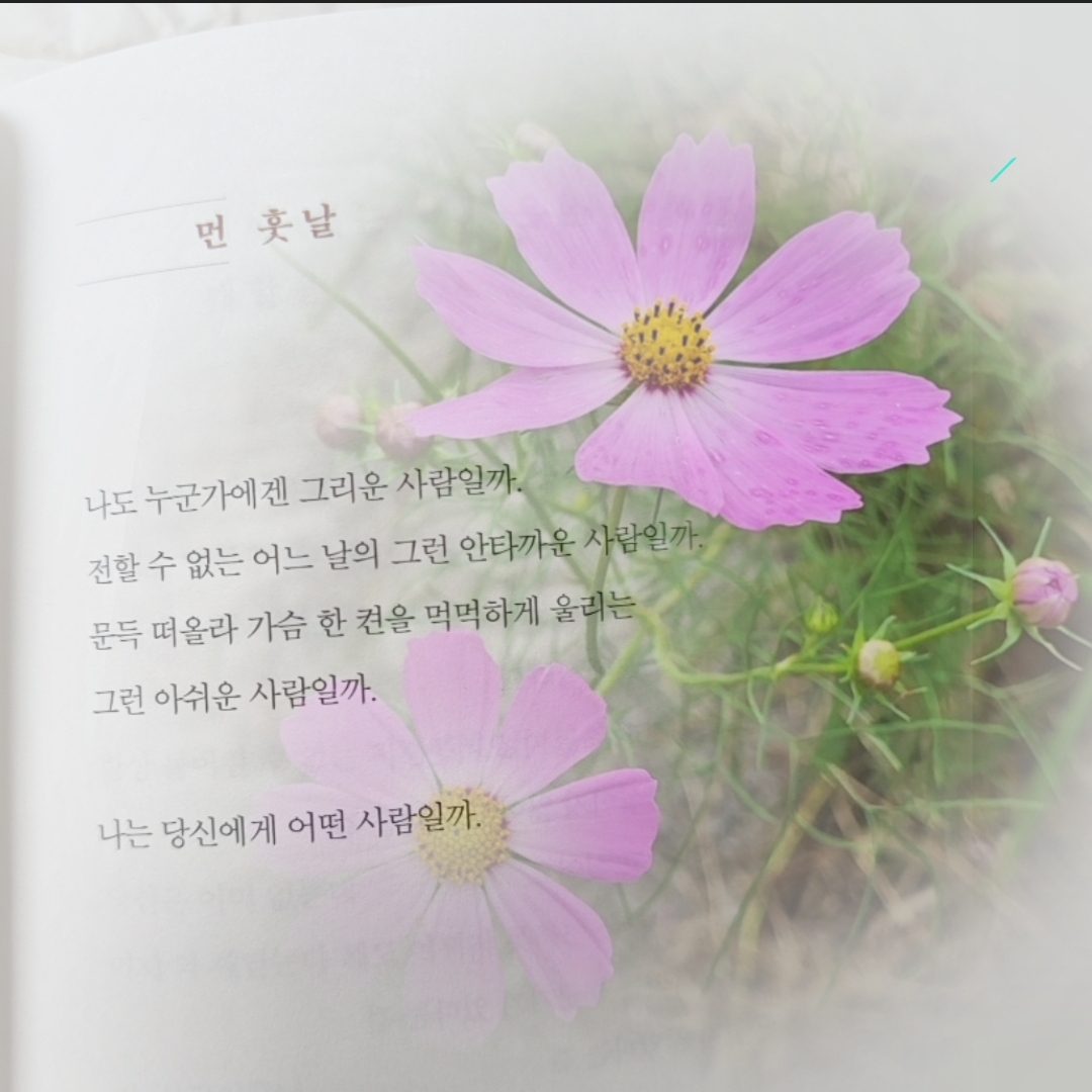 조명섭의 최신 사진