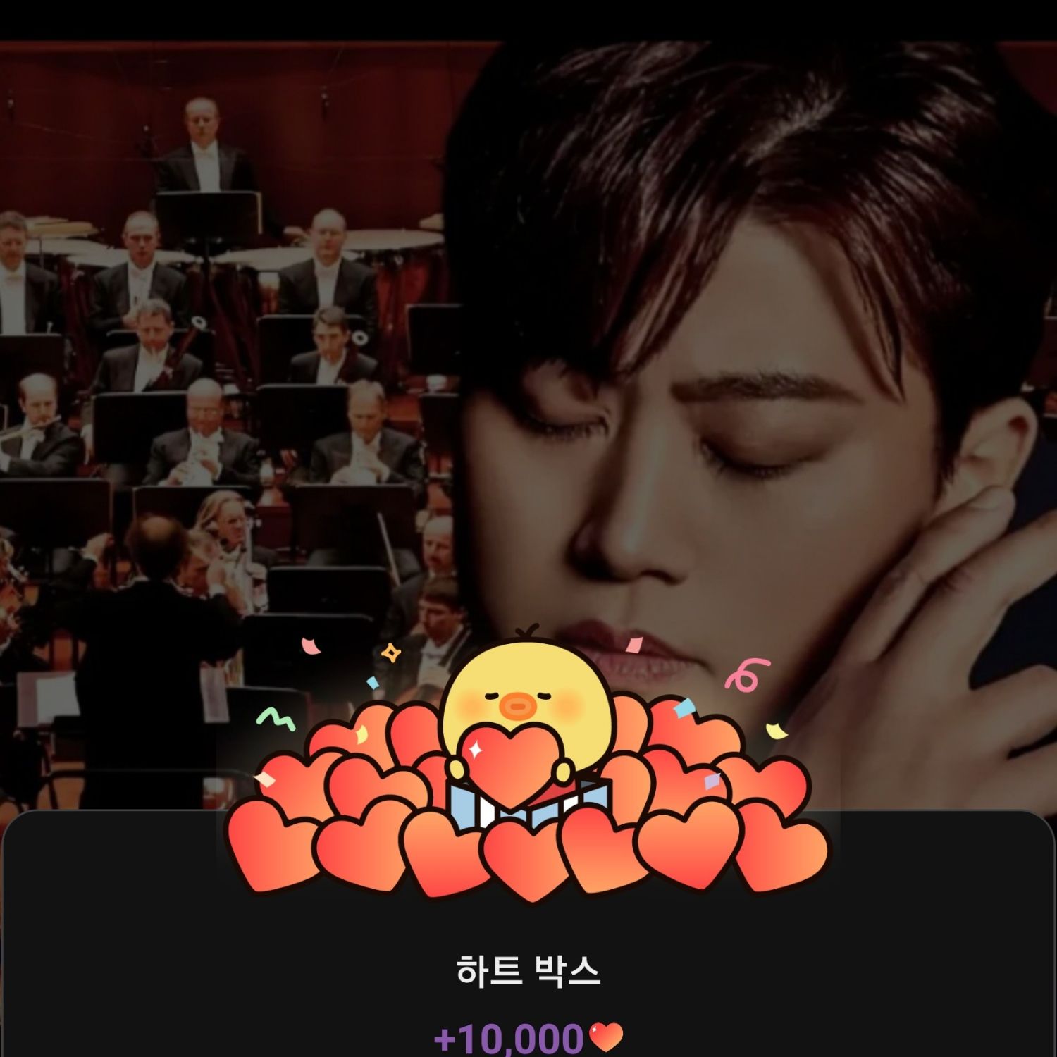 金浩中的近期活動照