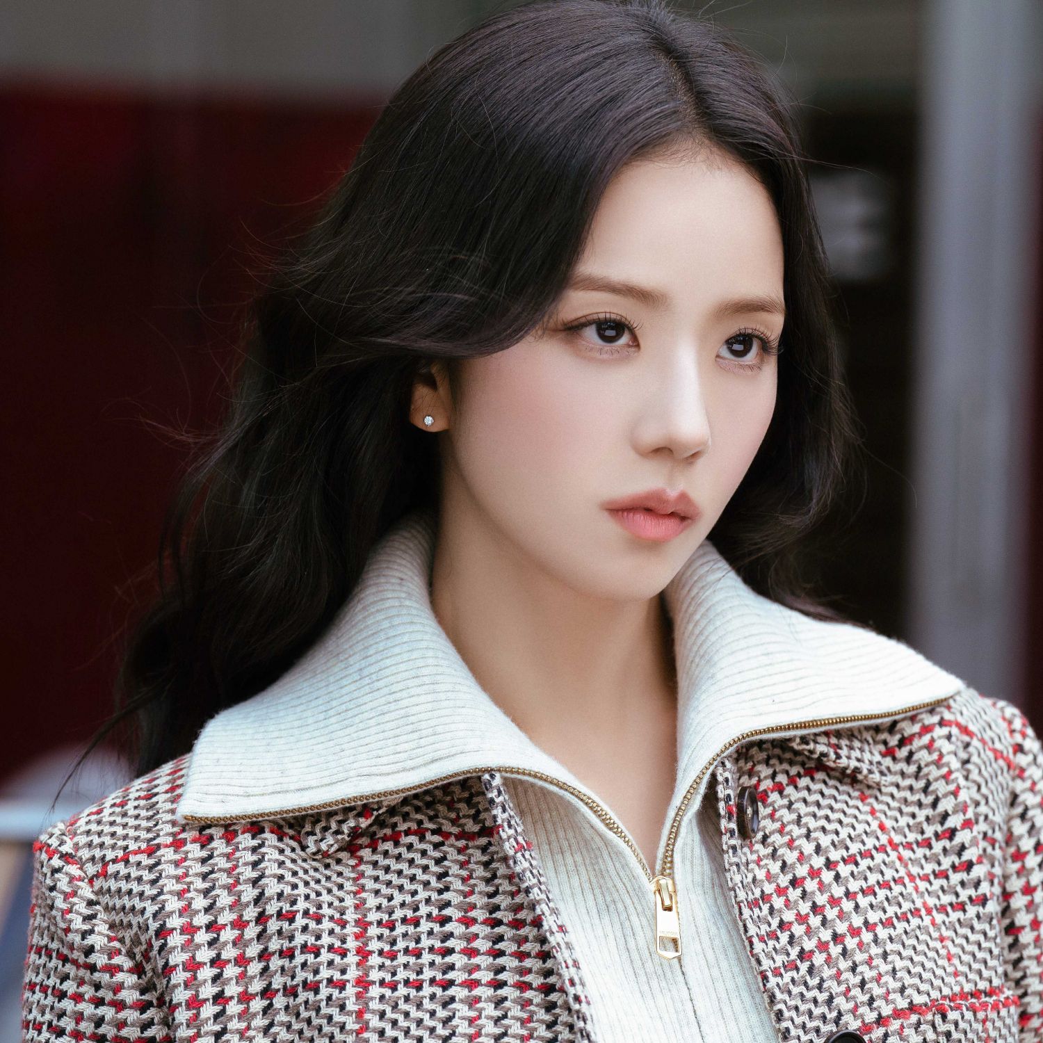 A moment captured by a fan of Jisoo (1995)