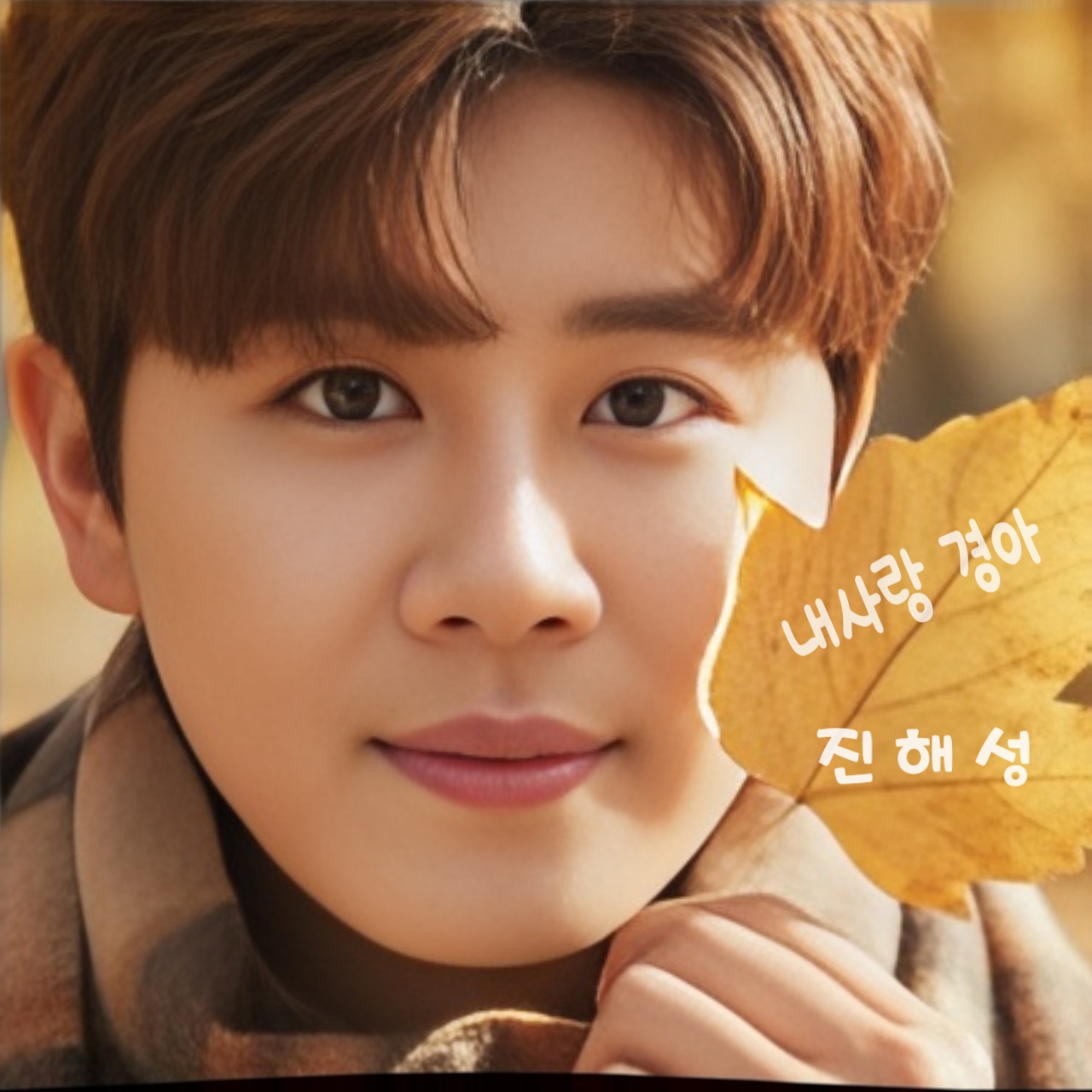 진해성 팬이 찍은 순간