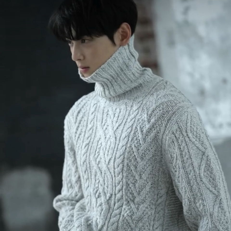 A moment captured by a fan of Cha Eunwoo