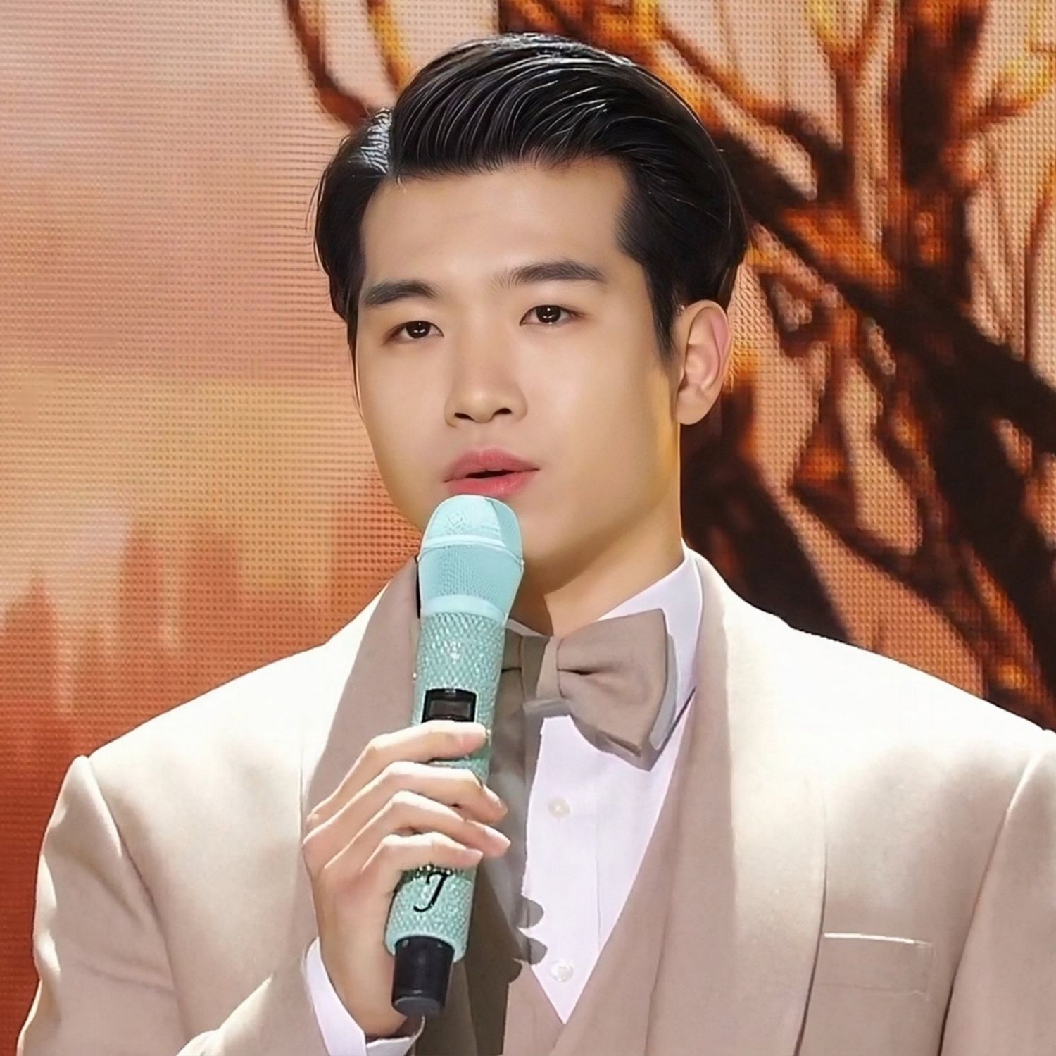 赵明燮的幕后花絮