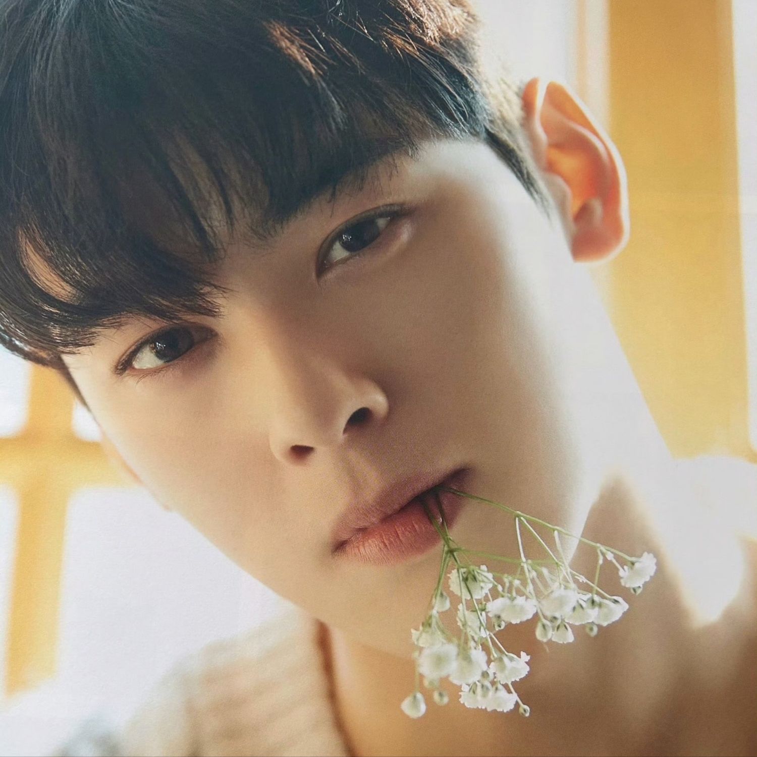 チャ・ウヌのビハインドカット