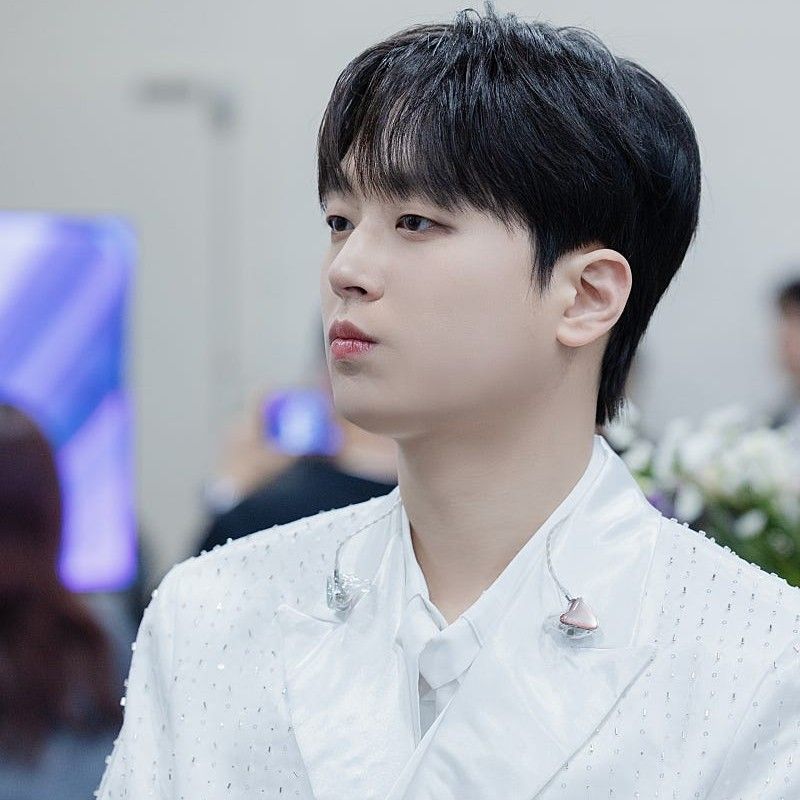 Momen yang diabadikan oleh penggemar Lee Chanwon