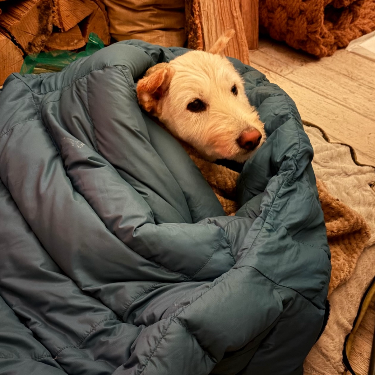 金高銀的幕後花絮