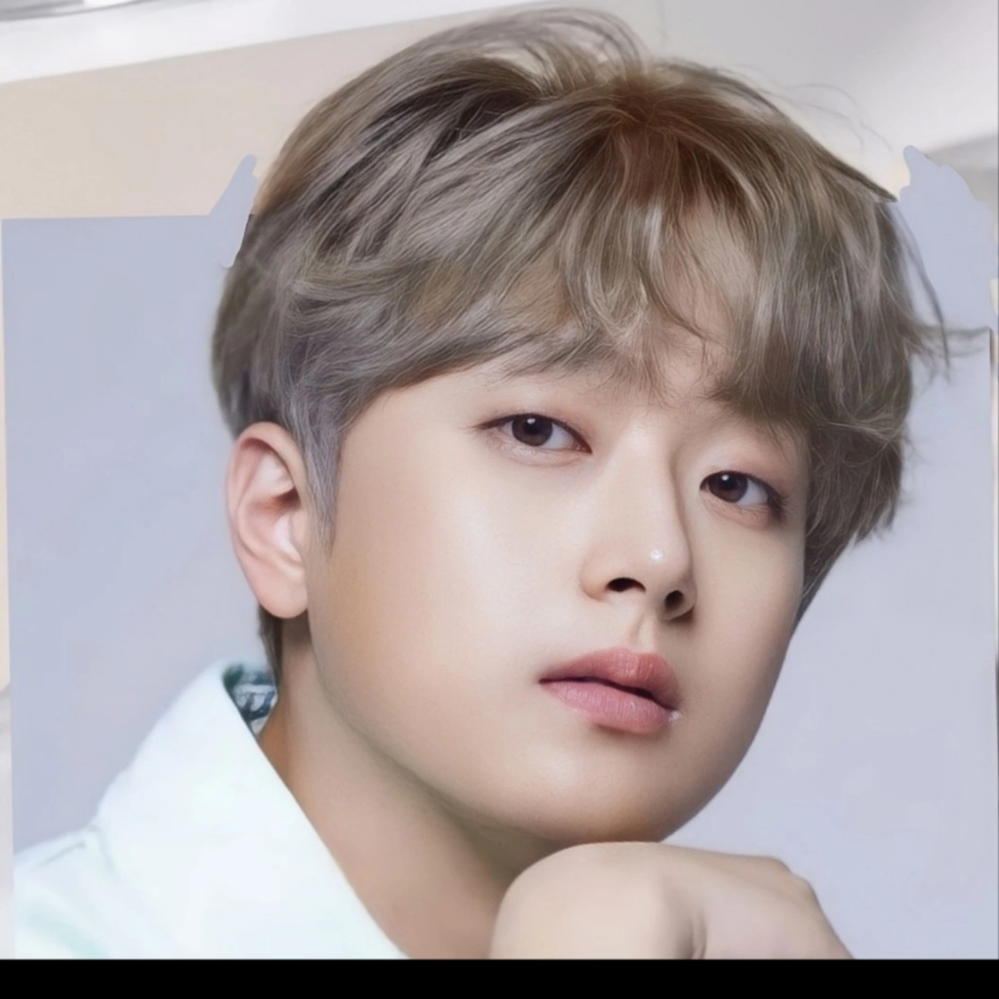 A moment captured by a fan of Lee Chanwon