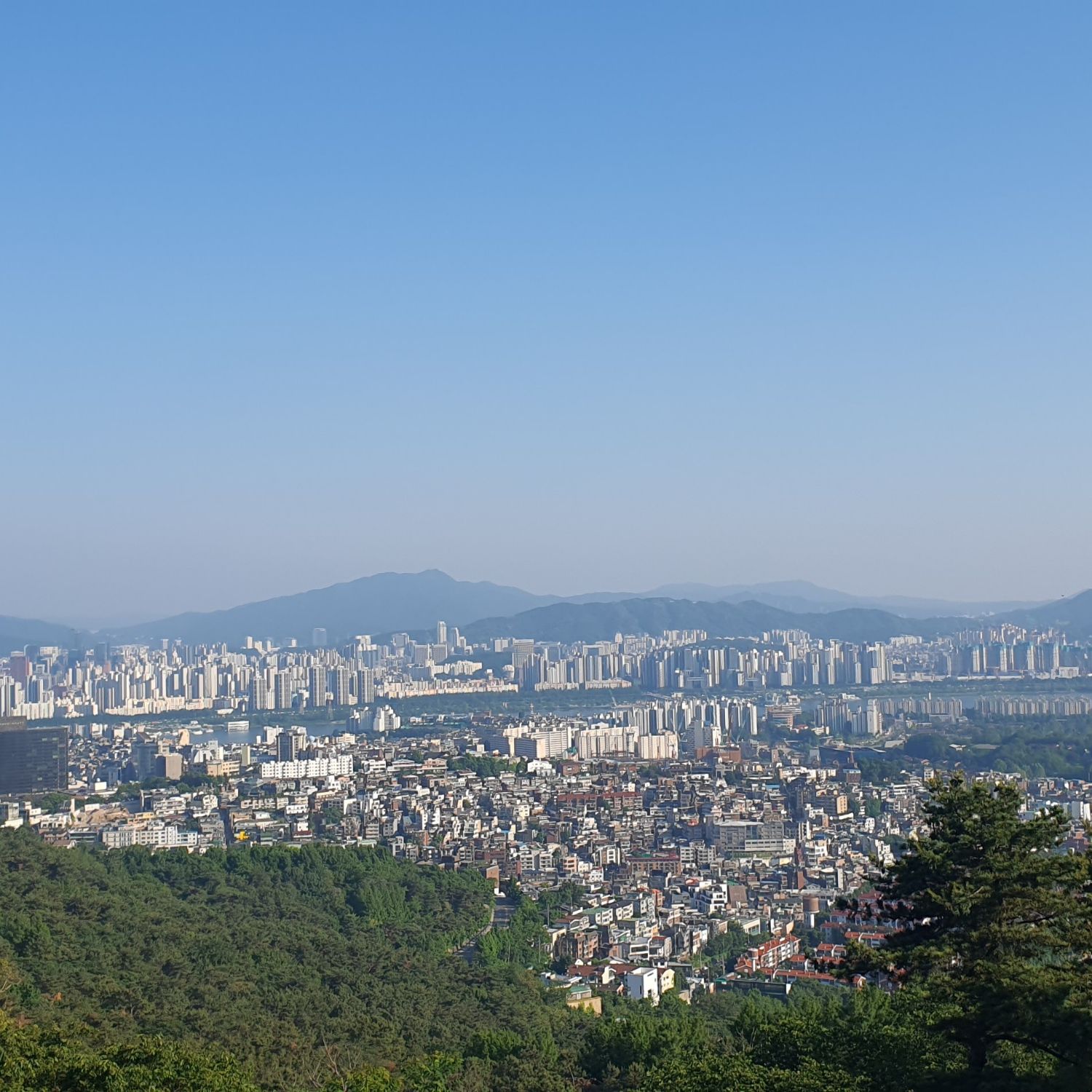 Recent activity shot of Park Narae