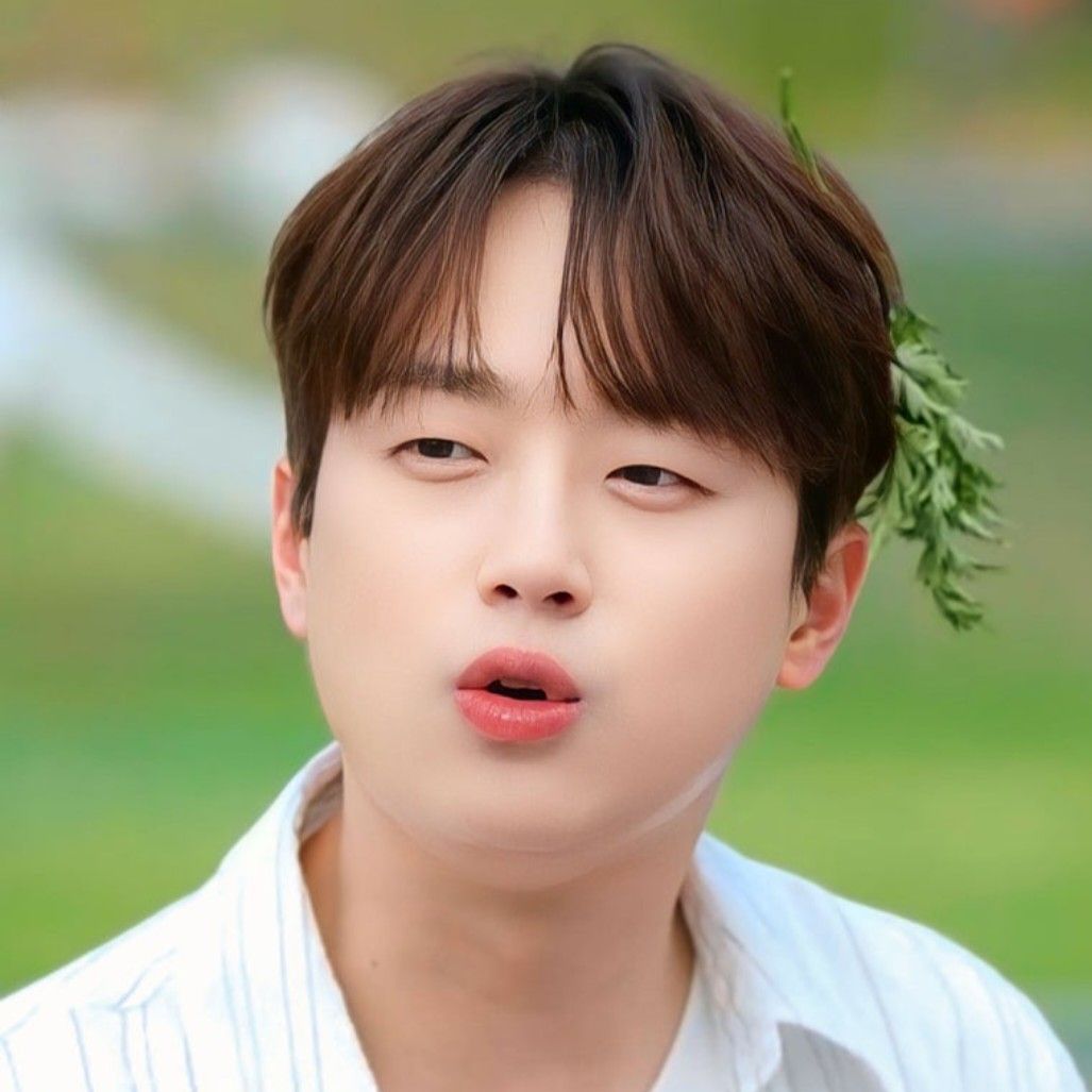 이찬원 팬이 찍은 순간