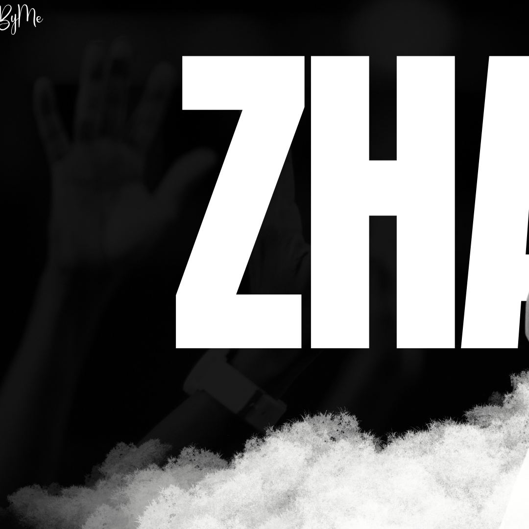 A moment captured by a fan of Zhao Lusi