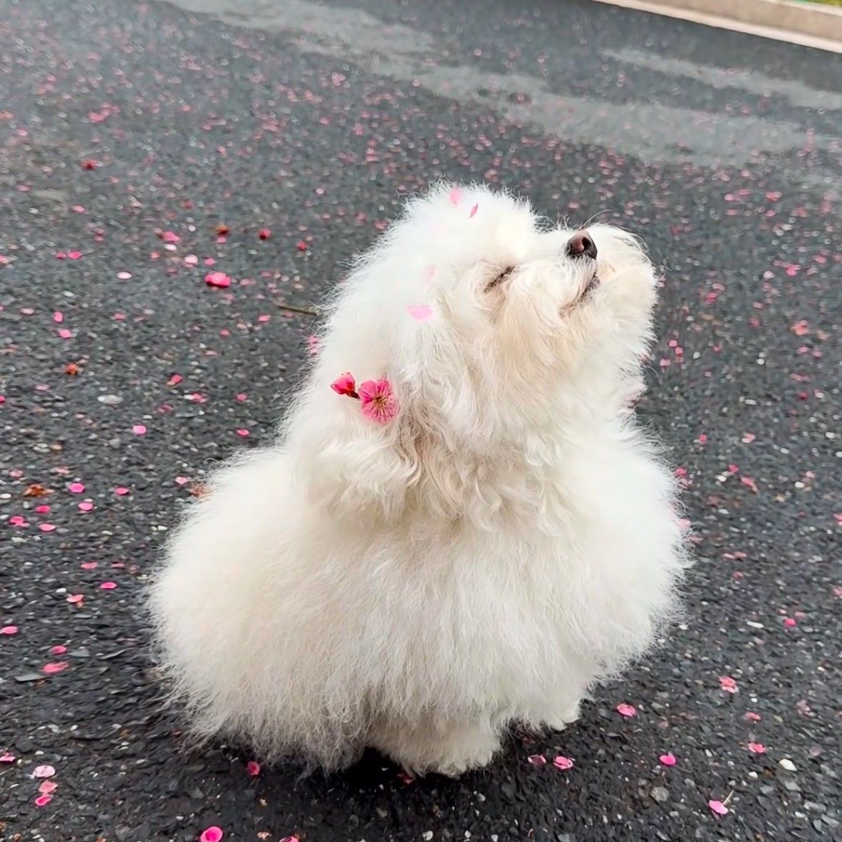 Latest photo of Park Narae