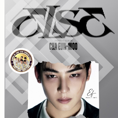 Recent activity shot of Cha Eunwoo