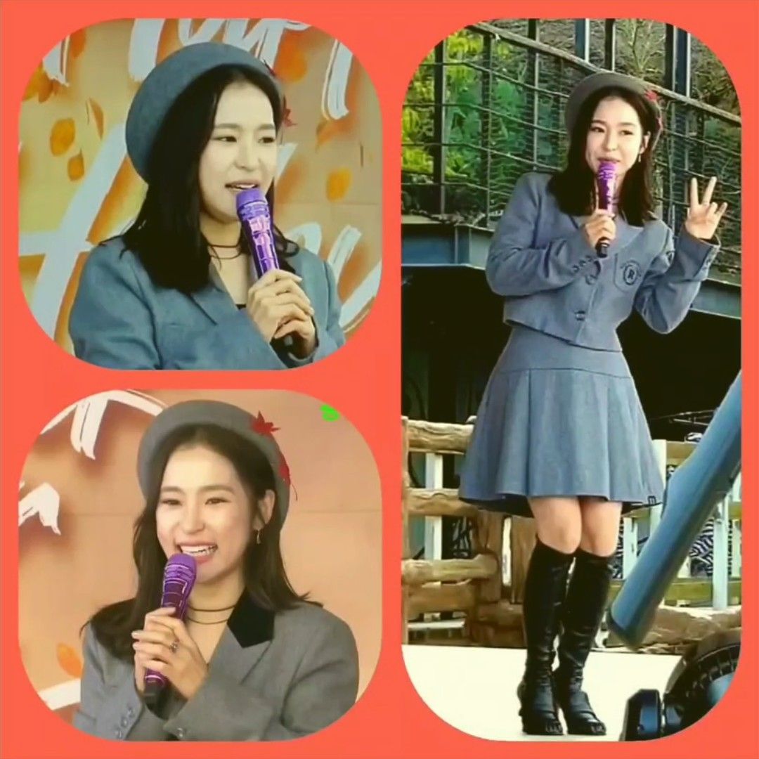 ホンジャの最新写真