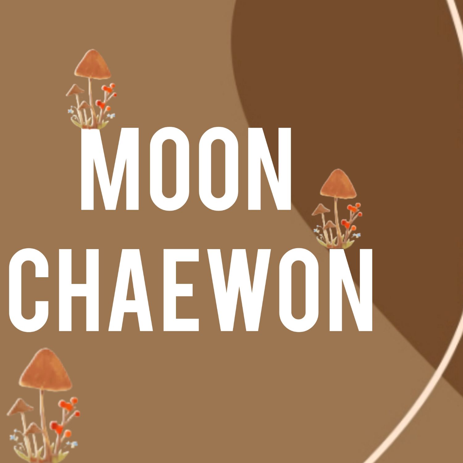 Recent activity shot of Moon Chaewon