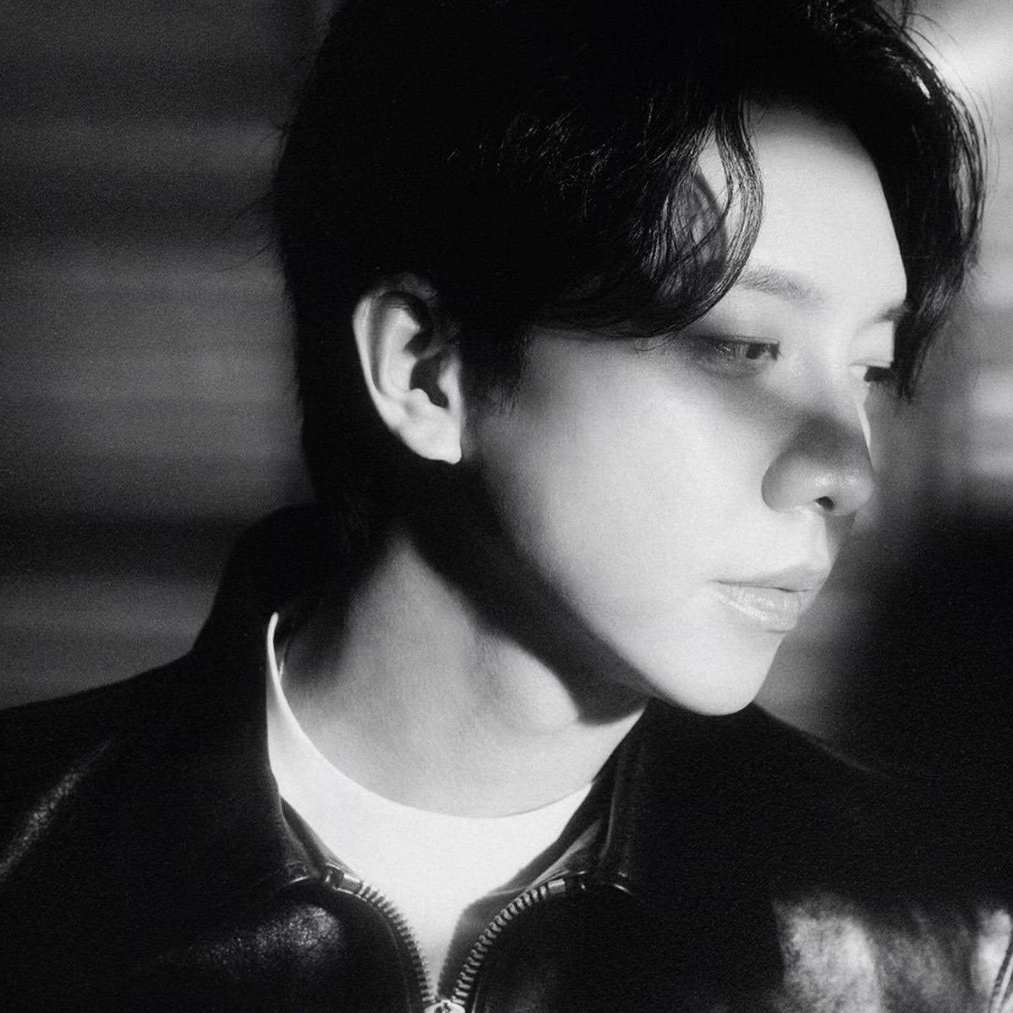 李昇基的最新照片