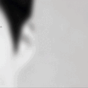 キム・ソンホのビハインドカット