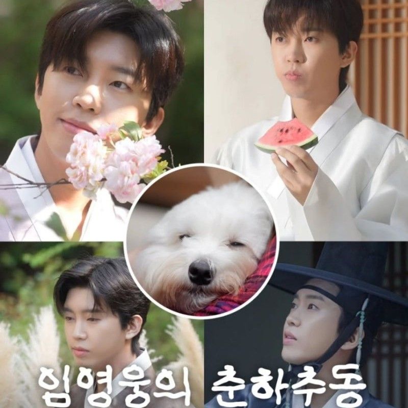 임영웅의 비하인드 컷