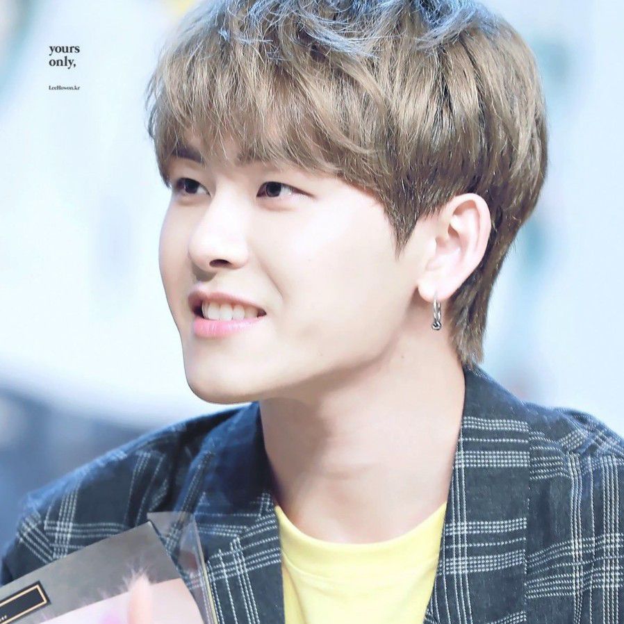 A moment captured by a fan of Hoya