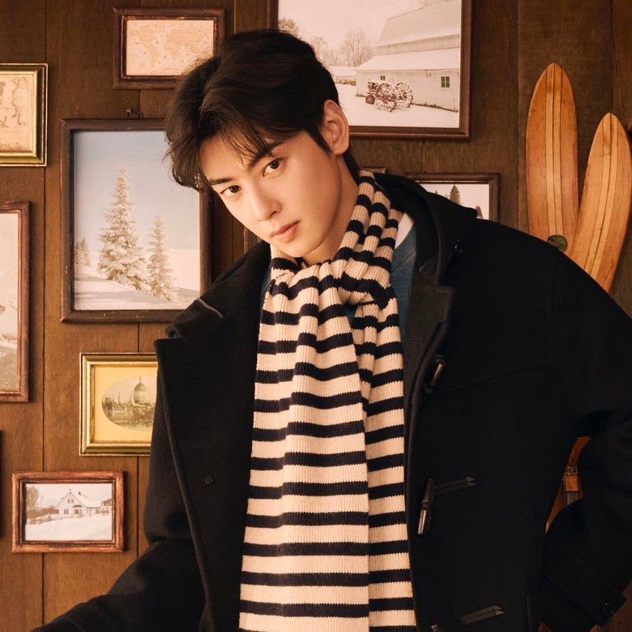 A moment captured by a fan of Cha Eunwoo