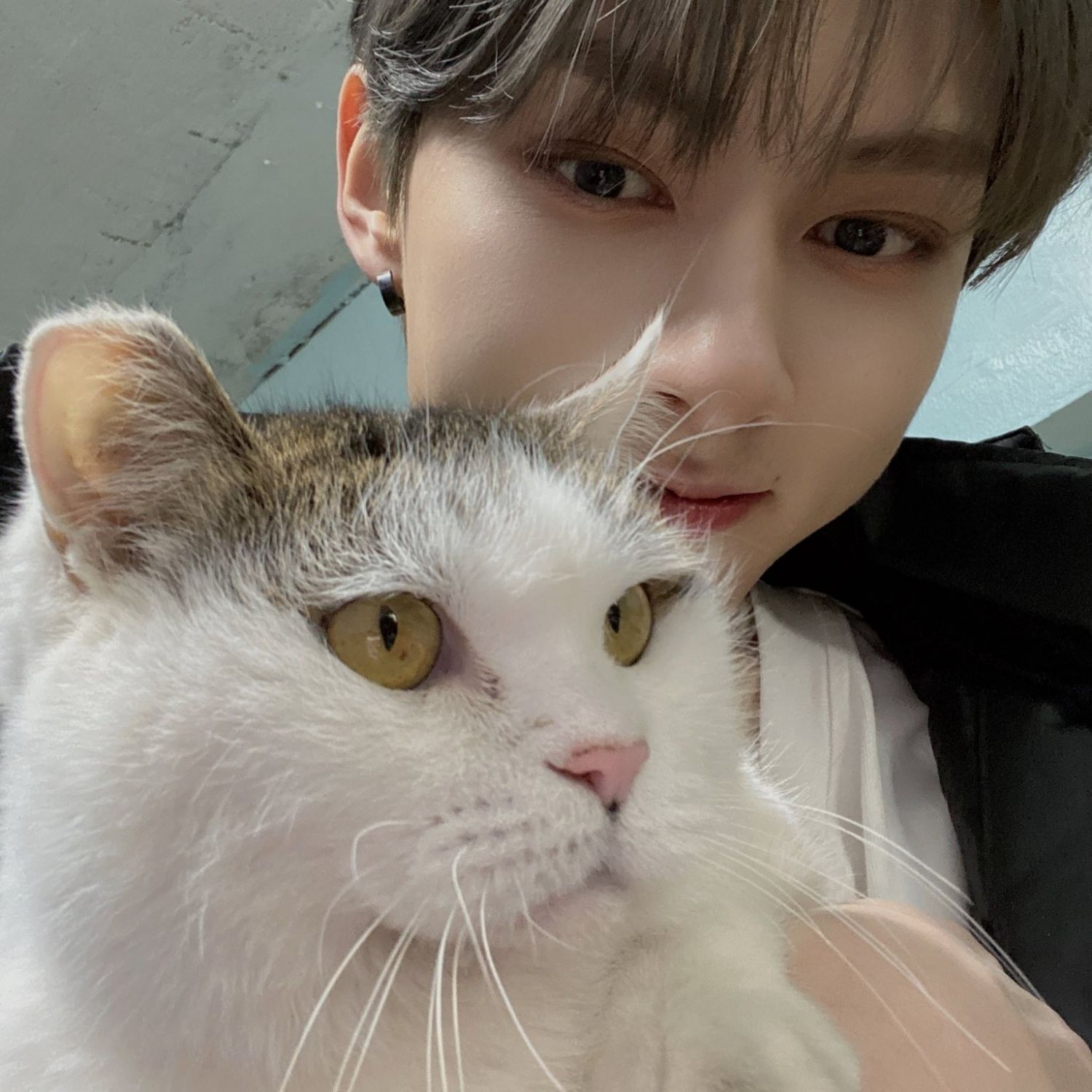 A moment captured by a fan of Wen Junhui