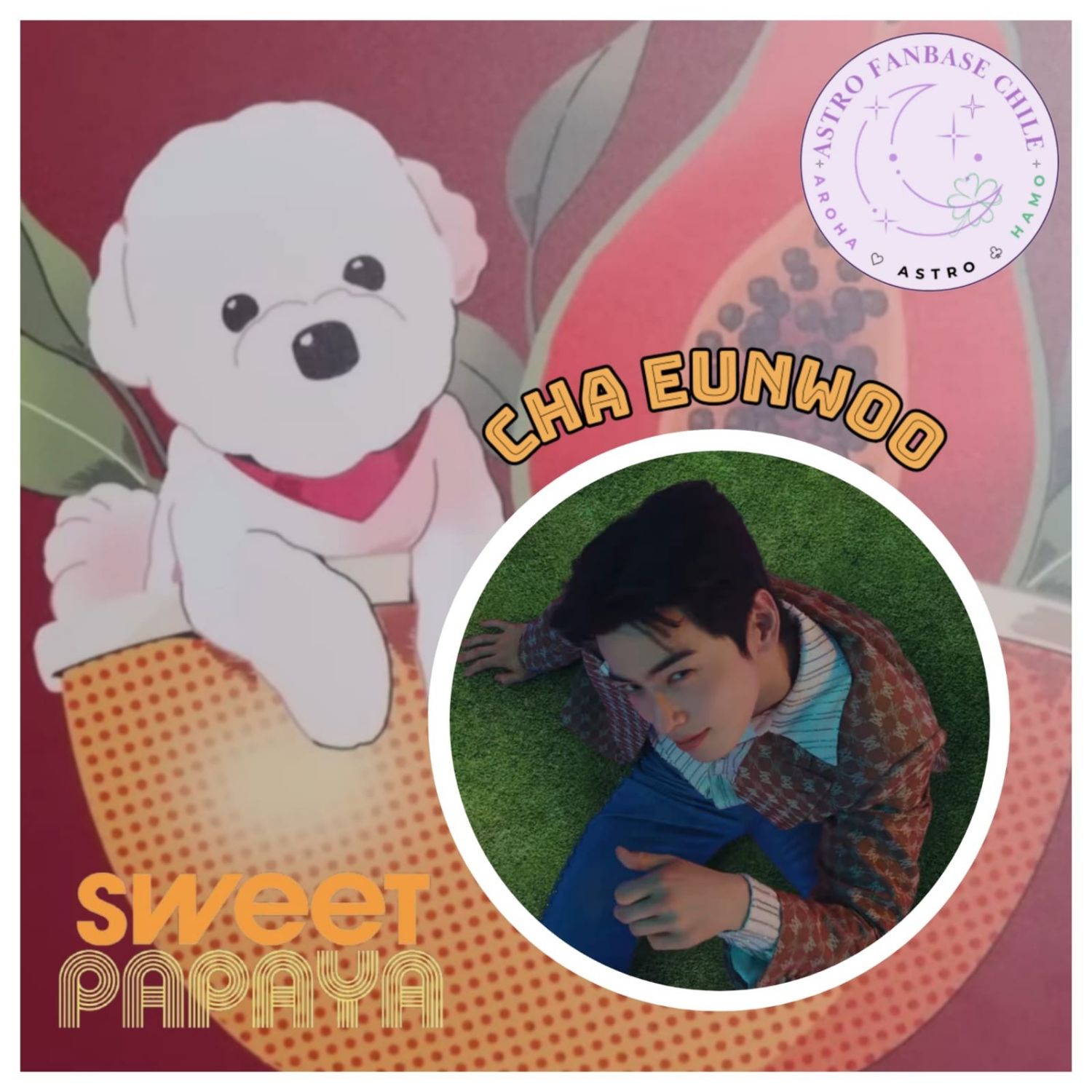 A moment captured by a fan of Cha Eunwoo