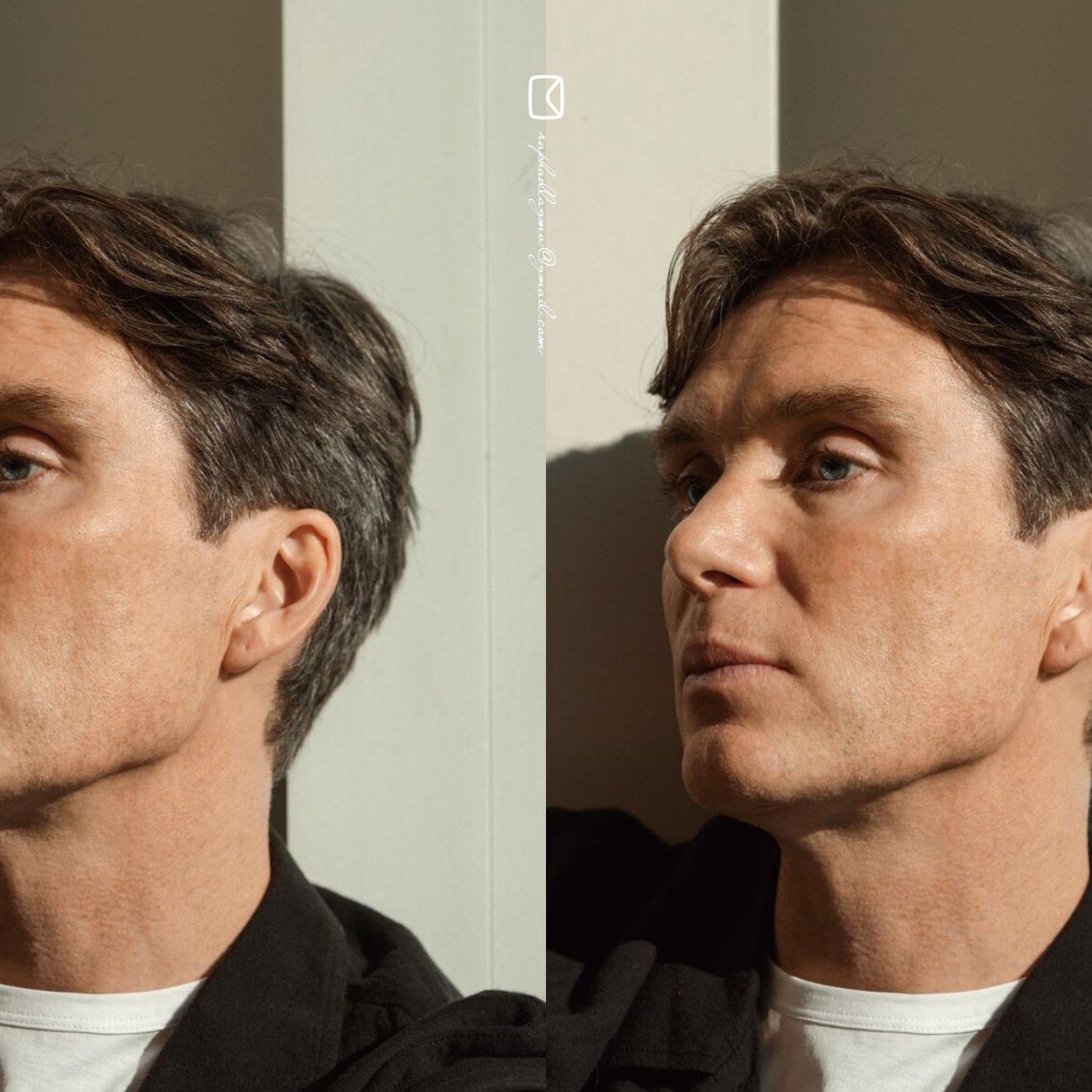 Recent activity shot of Cillian Murphy
