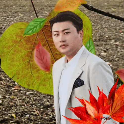 金浩中的最新照片