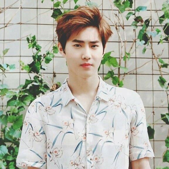 Latest photo of Suho