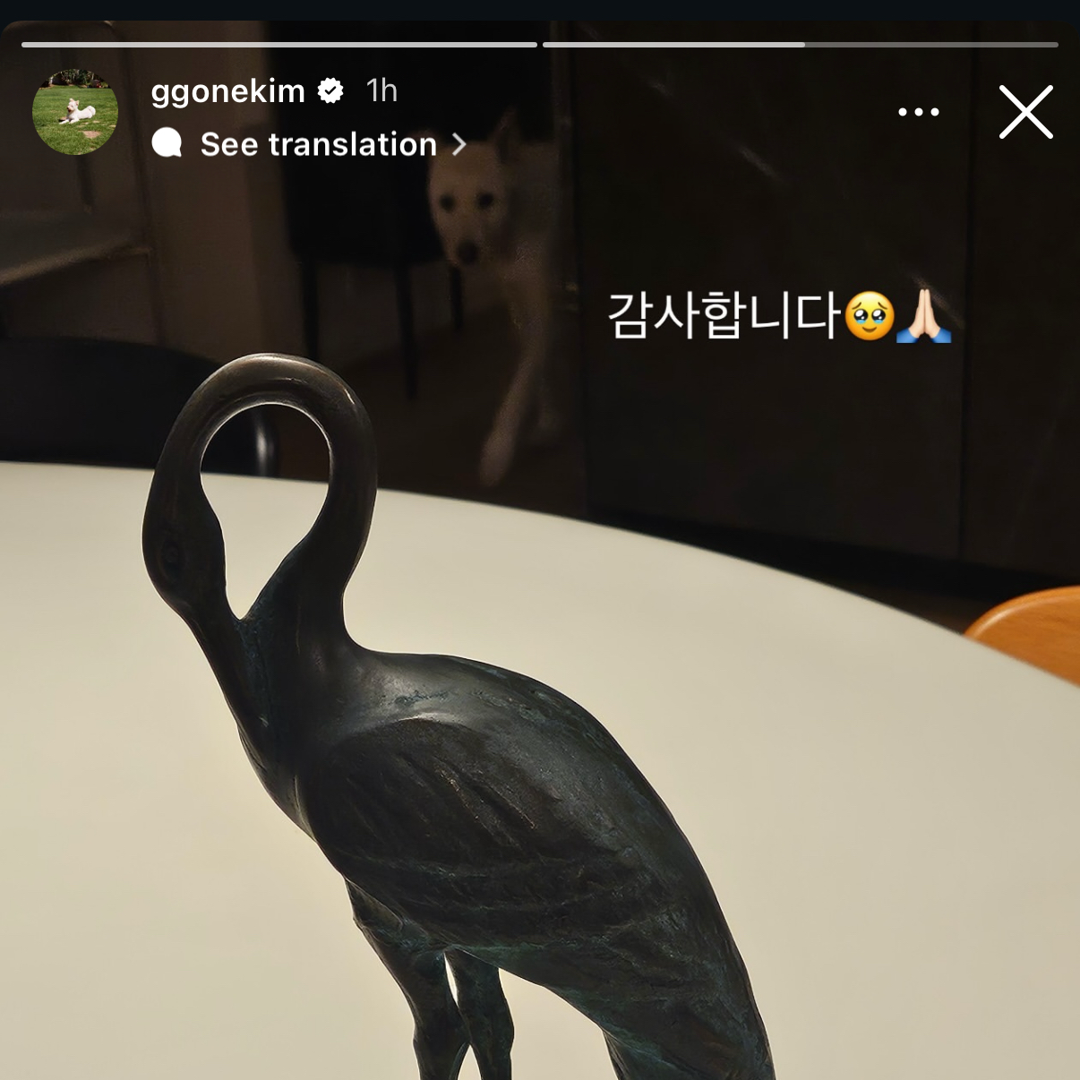 Foto kegiatan terbaru dari Kim Goeun