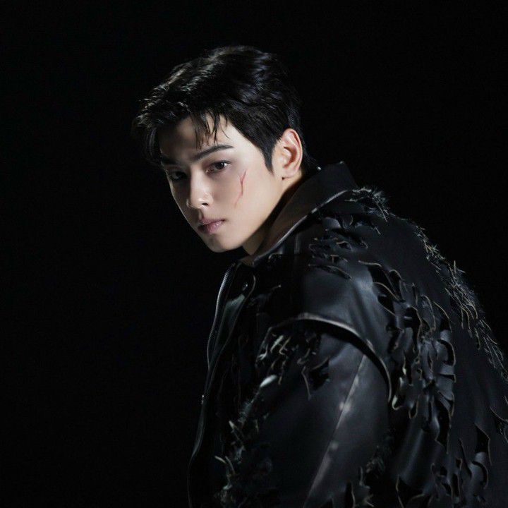 A moment captured by a fan of Cha Eunwoo