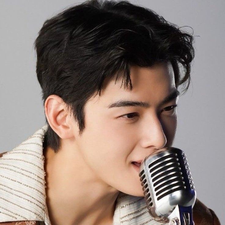 ファンが撮影したチャ・ウヌの瞬間