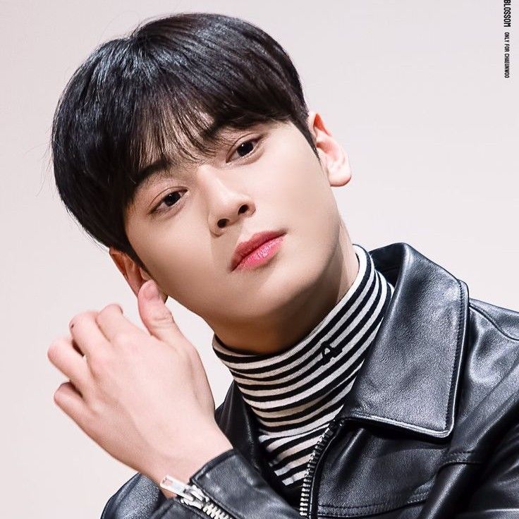 A moment captured by a fan of Cha Eunwoo