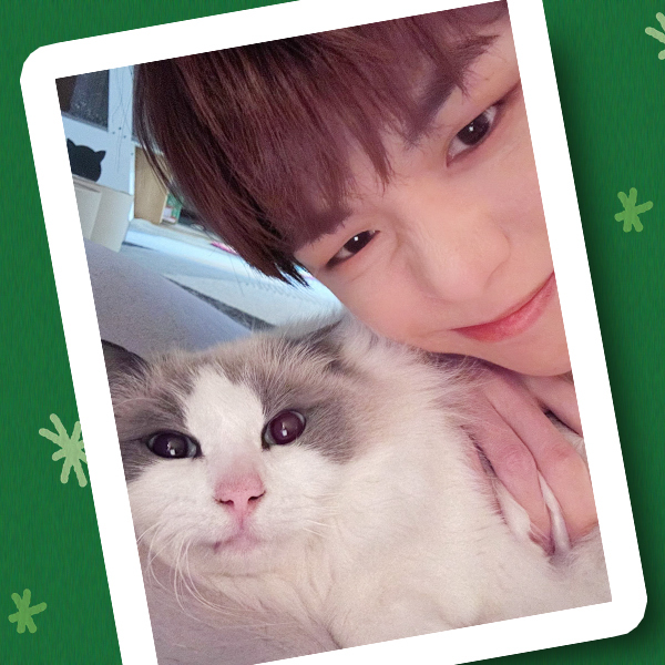 Latest photo of Secret Garden