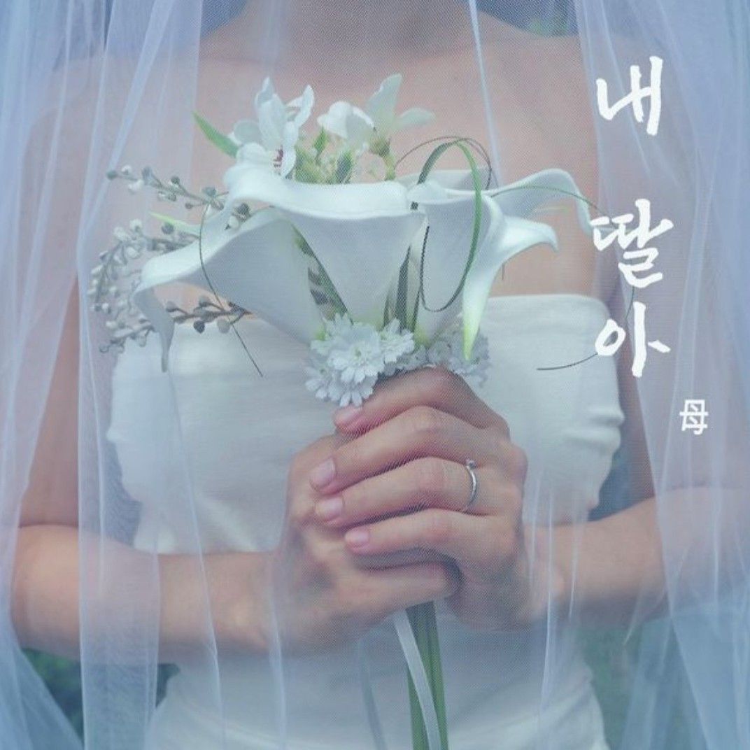 홍자 최근 활동샷