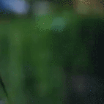 Latest photo of Shin Haesun