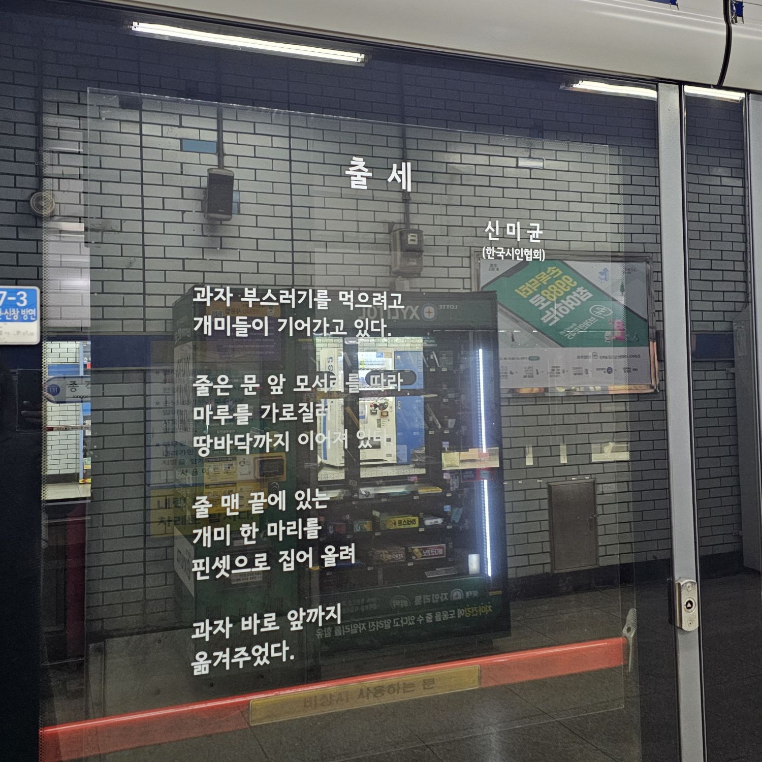 조명섭의 최신 사진