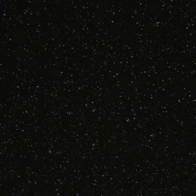 金秀賢的近期活動照