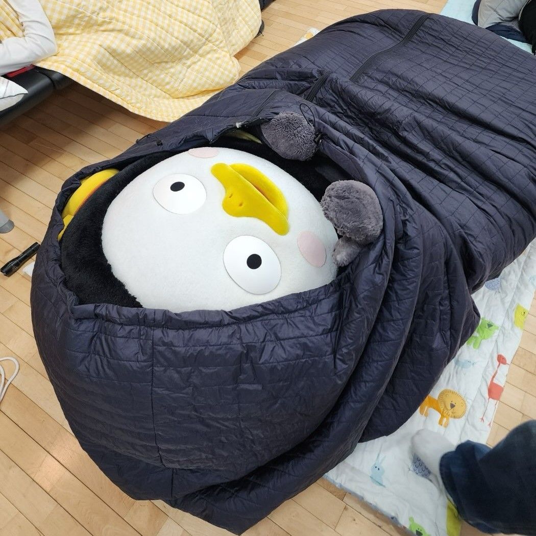 Foto terbaru dari Pengsoo