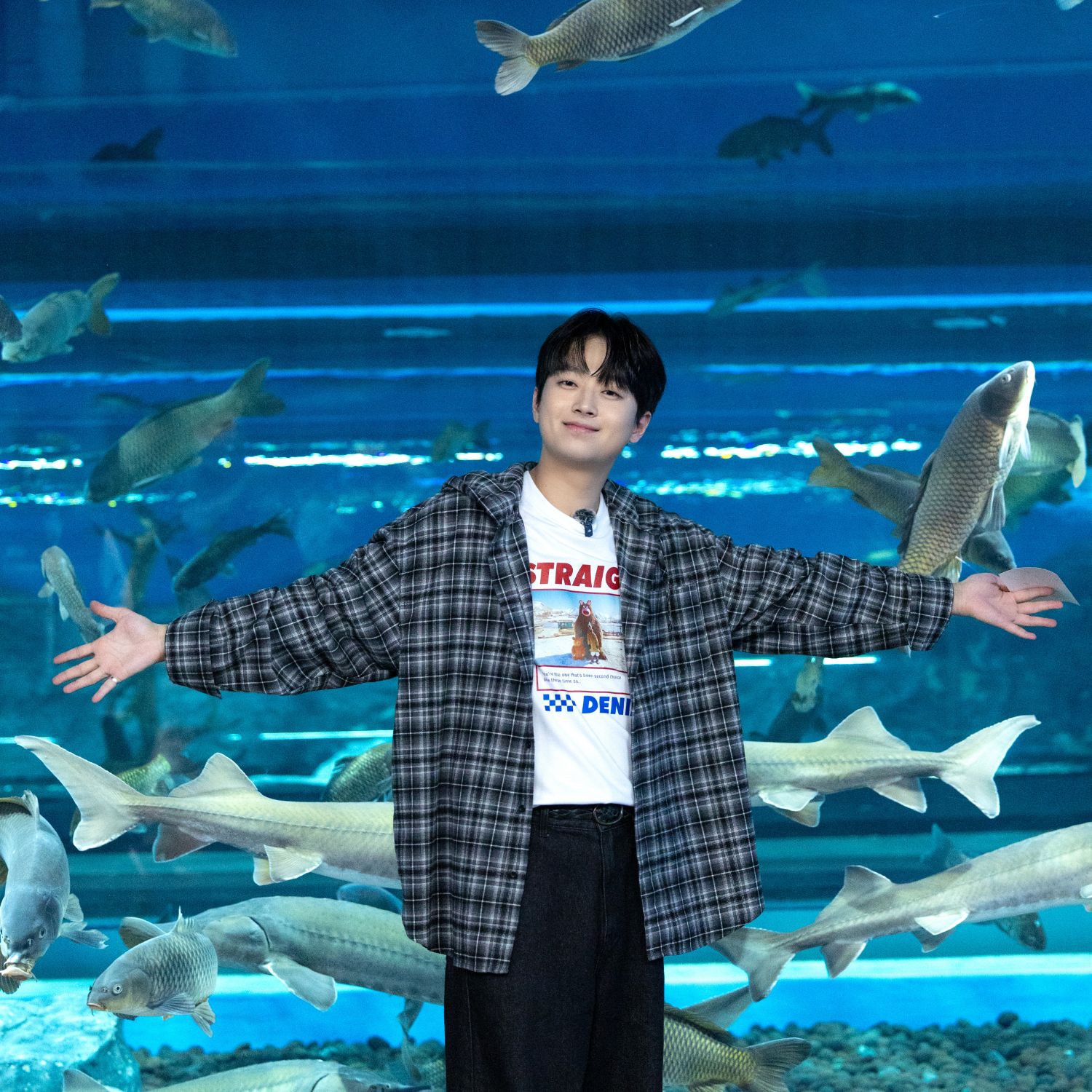 이찬원의 최신 사진