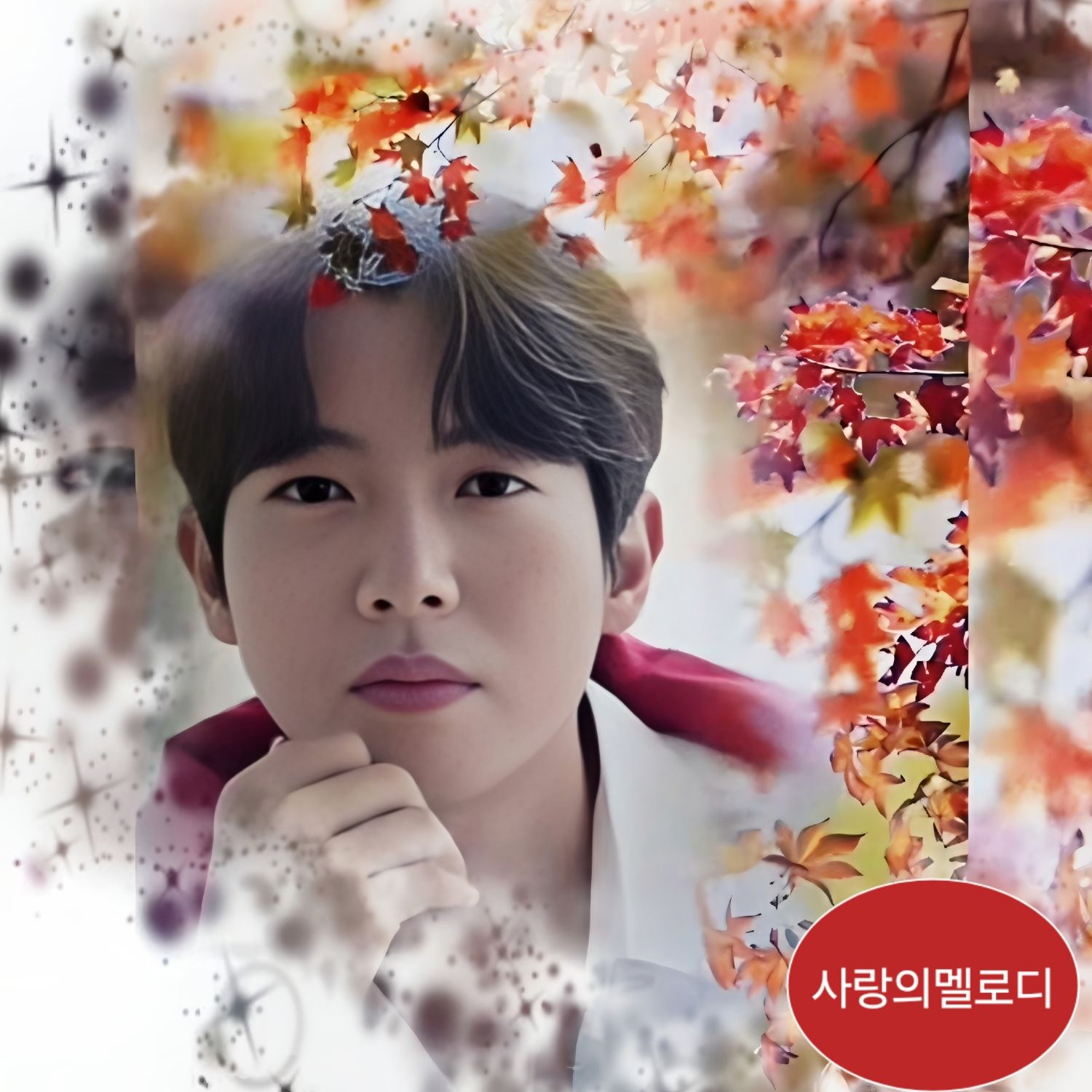 Popular celeb post loved by fans