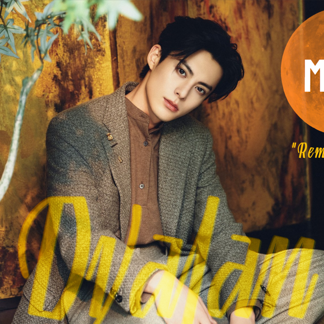 A moment captured by a fan of Dylan Wang