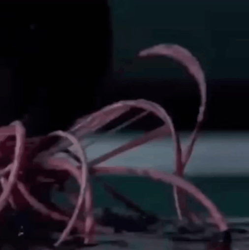 丁海寅的幕後花絮